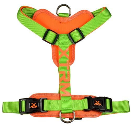 X-TRM Cronos Ne&oacute;n Arn&eacute;s Verde para perros