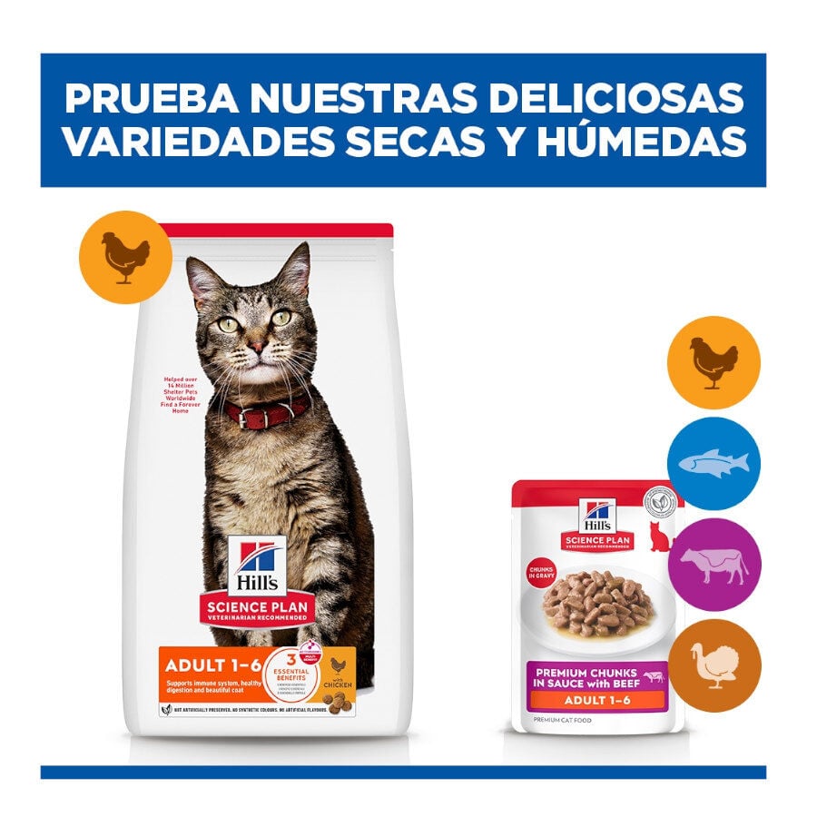 85 g Hill's Science Plan Adult Ternera Sobre en Salsa para gatos, , large indicador imagen numero 11