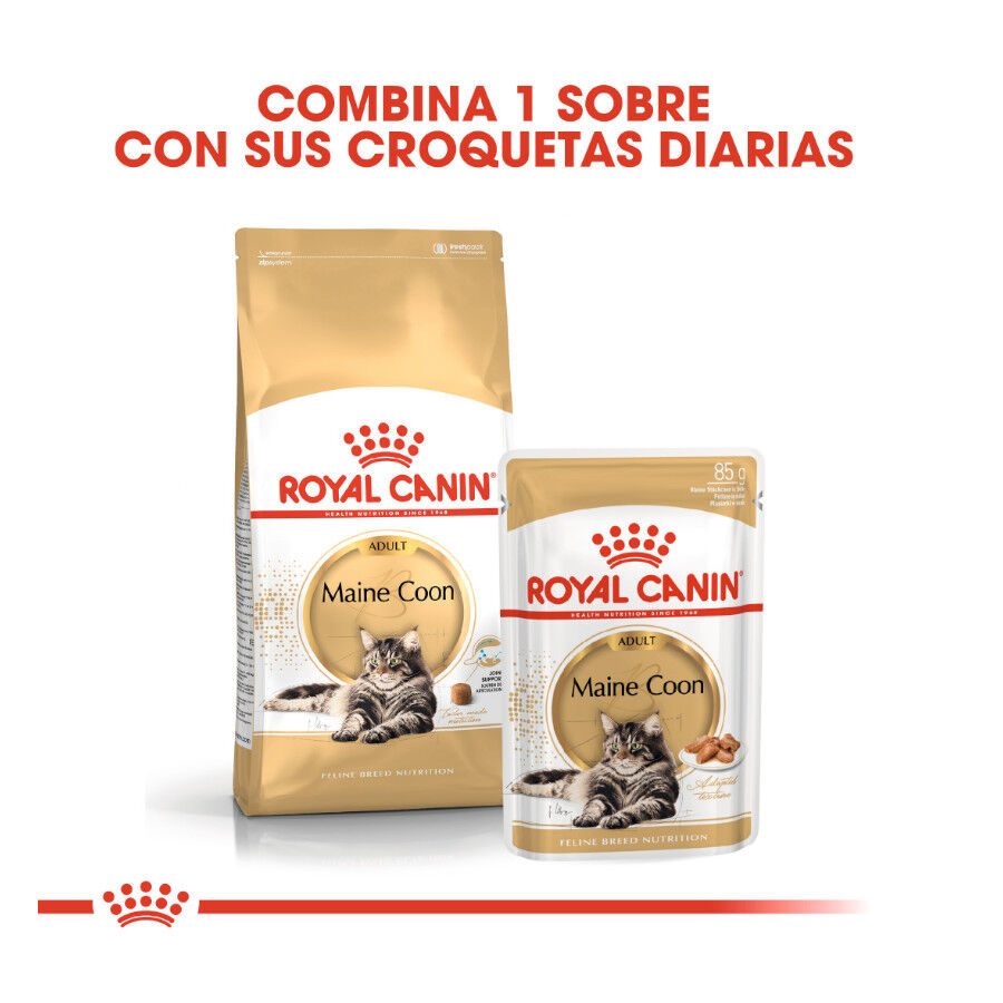 85 g Royal Canin Maine Coon sobres para gatos, , large Imagen numero 3