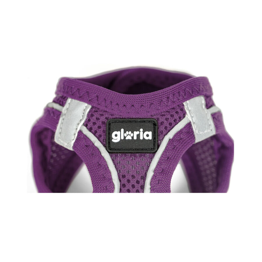 Gloria Air Mesh Trek Star Arn&eacute;s Morado para perros, , large Imagen numero 3