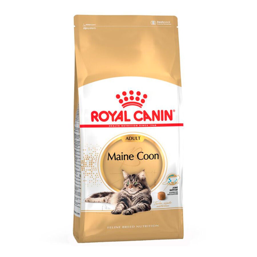 10 kg Royal Canin Adult Maine Coon pienso para gatos, , large indicador imagen numero 1