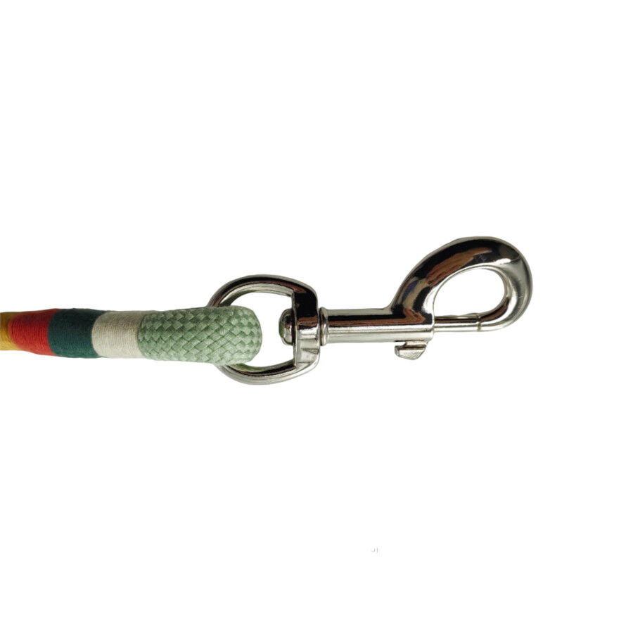 Gotoo Correa redonda verde para perros, , large Imagen numero 4