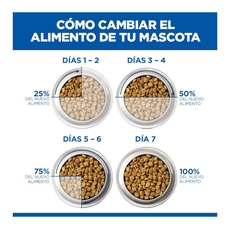 12 kg Hill's Science Plan Perfect Weight Adult Large Pollo pienso para perros, , large indicador imagen numero 7
