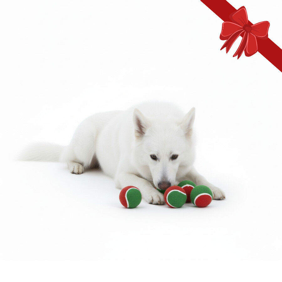 Wonder Christmas Pelotas de Tenis Navide&ntilde;as para perros, , large Imagen numero 1