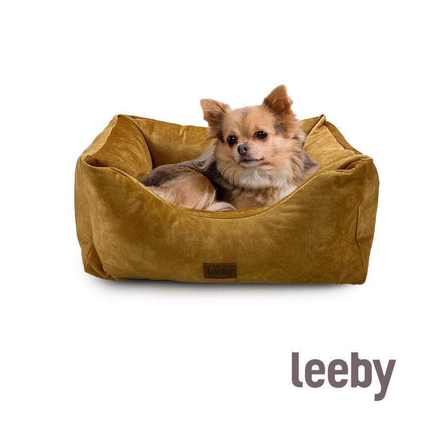Leeby Cuna Impermeable y Desenfundable Dorada para perros, , large indicador imagen numero 2