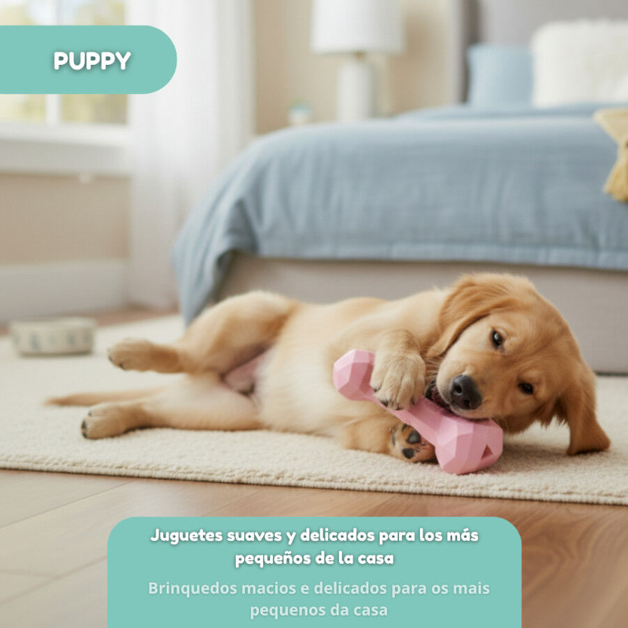 Tootoy! Hueso Mordedor de Goma Rosa para cachorros, , large indicador imagen numero 5