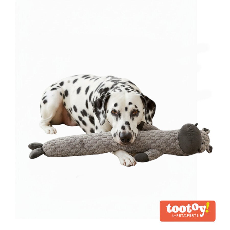 Tootoy! Hipop&oacute;tamo Largo de Peluche con Sonido para perros, , large indicador imagen numero 6
