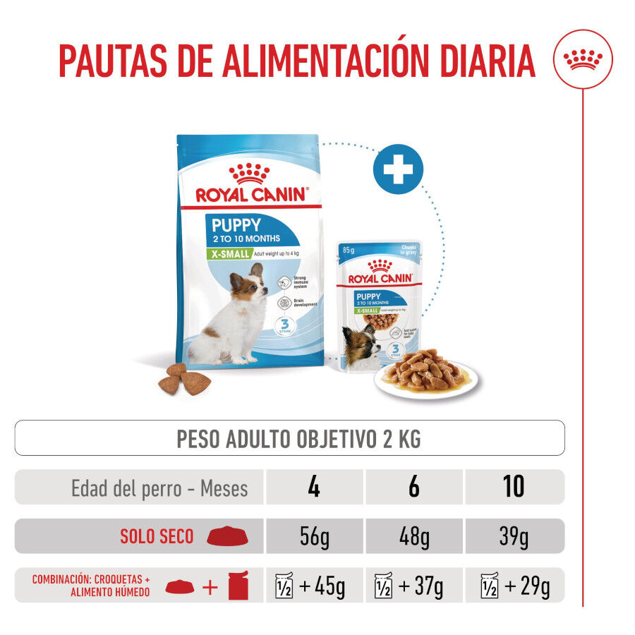 3 kg Royal Canin X-Small Puppy pienso para perros, , large indicador imagen numero 8