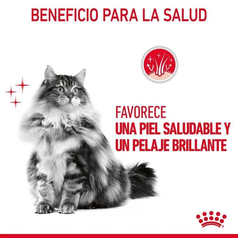 85 g Royal Canin Hair and Skin sobre en salsa para gatos, , large Imagen numero 6