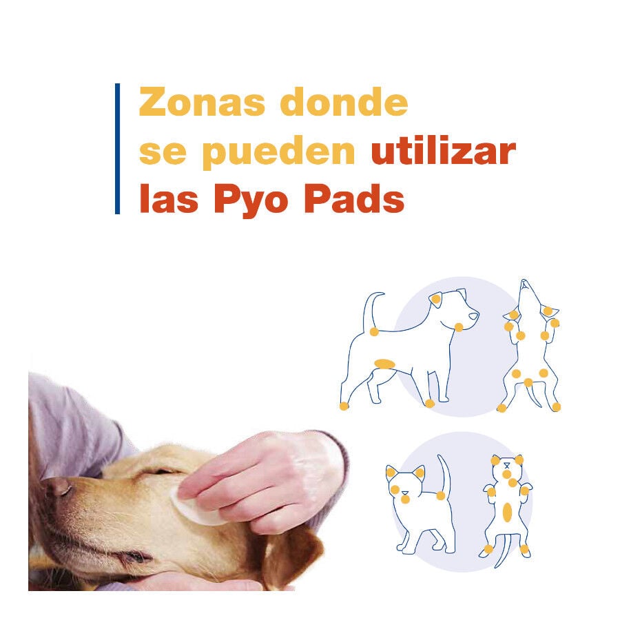 Douxo Pya Algod&oacute;n Desinfectante para perros y gatos, , large indicador imagen numero 5