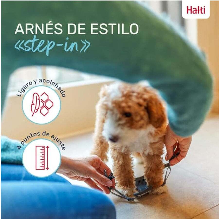 Halti arn&eacute;s anat&oacute;mico para cachorros y perros peque&ntilde;os, , large Imagen numero 4