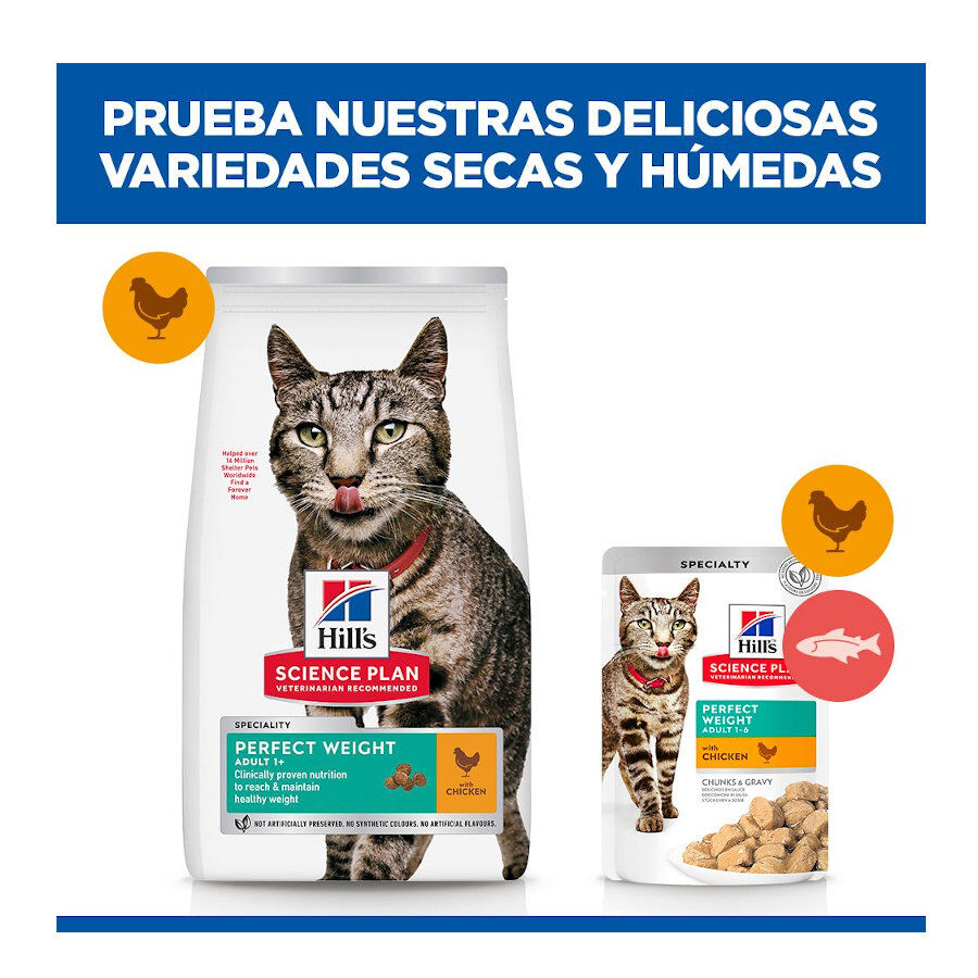 7 kg Hill's Science Plan Perfect Weight Adult pollo pienso para gatos, , large indicador imagen numero 8