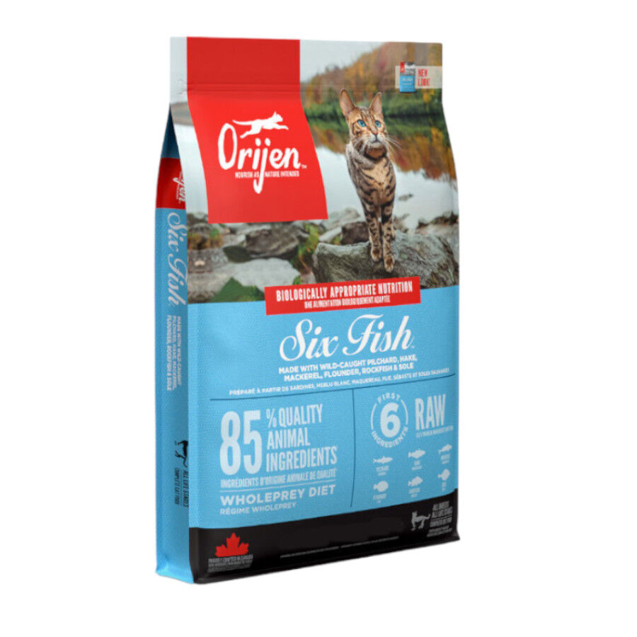 Orijen Six Fish pienso para gatos y gatitos