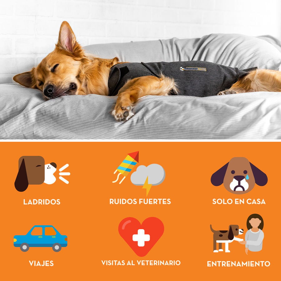 Thundershirt Camiseta Antiestr&eacute;s Relajante para perros, , large indicador imagen numero 2