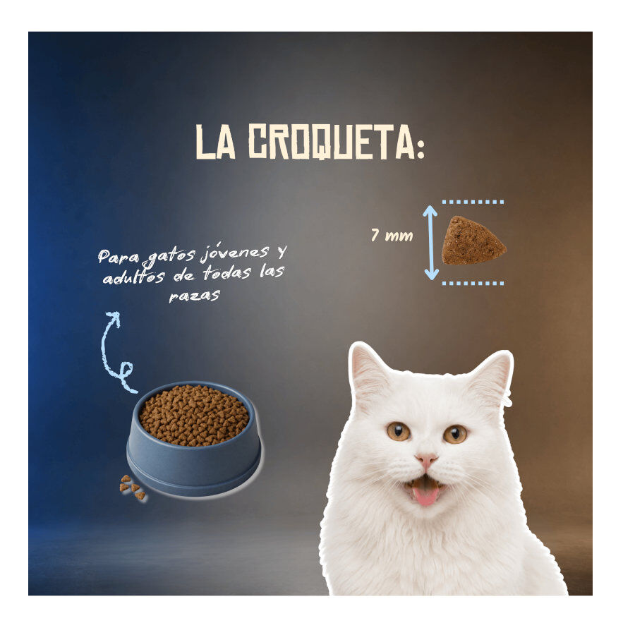 5 Kg Lenda Grain Free Pescado Blanco pienso para gatos, , large Imagen numero 6