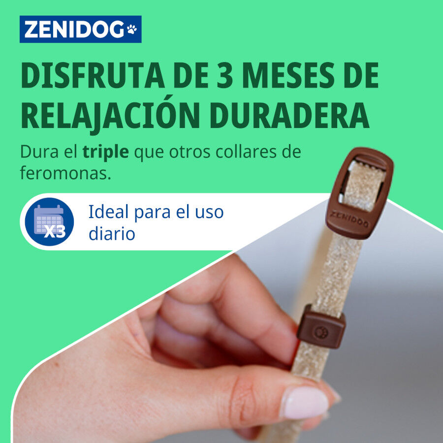 Virbac Zenidog Collar Calmante para cachorros y perros peque&ntilde;os, , large Imagen numero 3