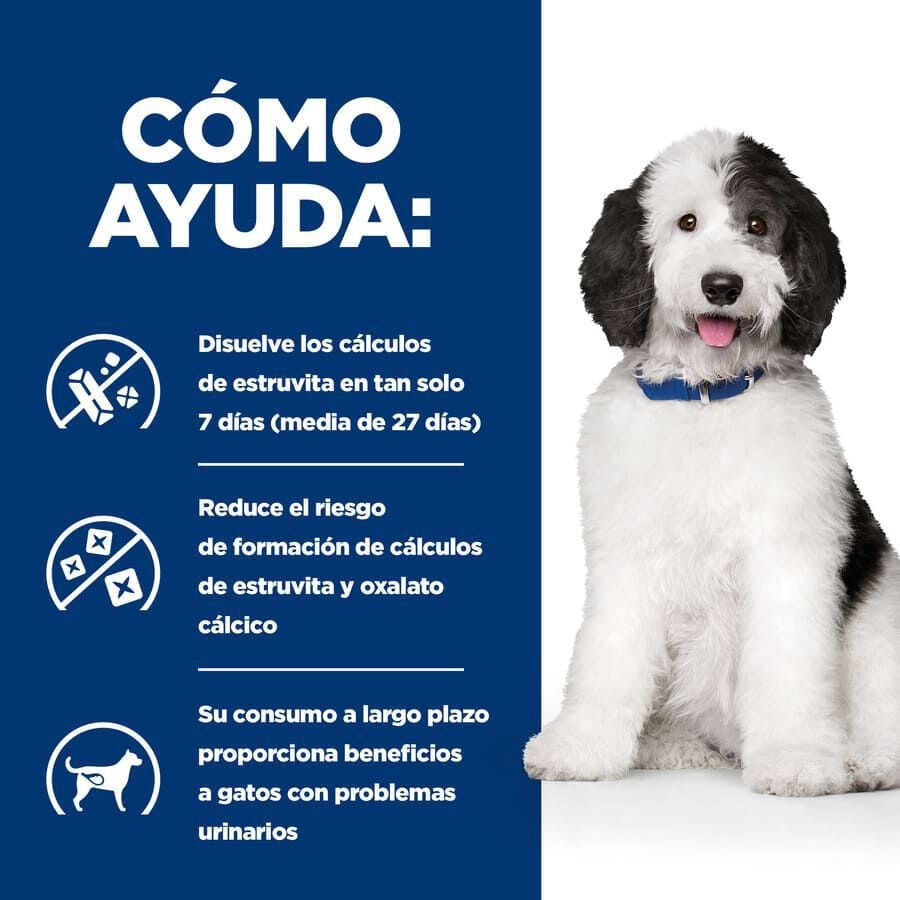 370 g Hill's Prescription Diet Urinary Care c/d Pollo lata para perros, , large indicador imagen numero 4