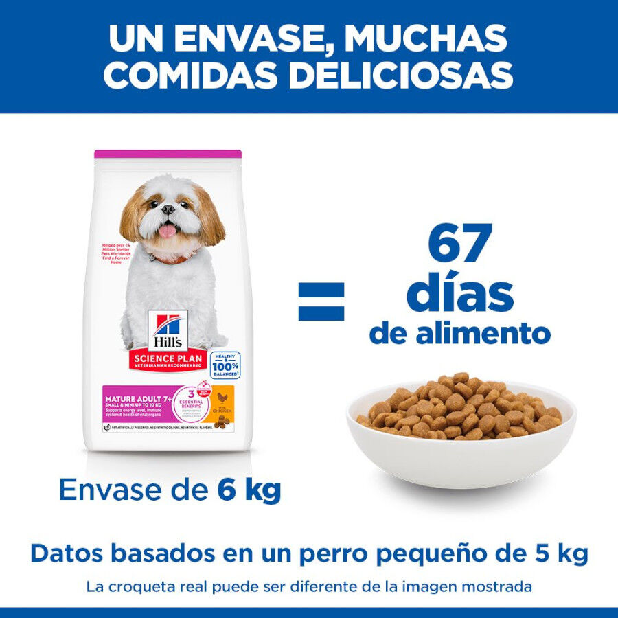 6 kg Hill's Science Plan Mature Adult Small y Mini pollo pienso para perros, , large Imagen numero 6