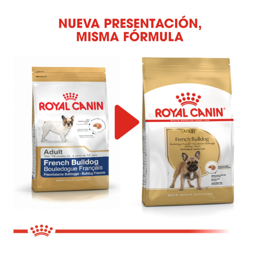 9 kg Royal Canin French Bulldog Adult pienso para perros, , large Imagen numero 3