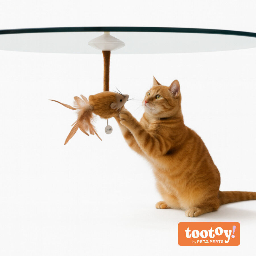 Tootoy! Juguete Interactivo Rat&oacute;n con Ventosa para gatos, , large indicador imagen numero 9