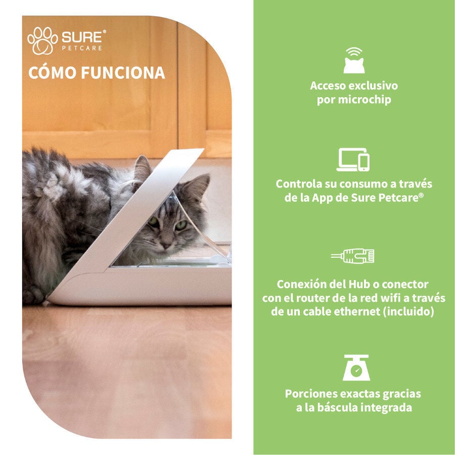 Sure Petcare Surefeed Comedero Autom&aacute;tico con Microchip Connect para perros y gatos, , large indicador imagen numero 4