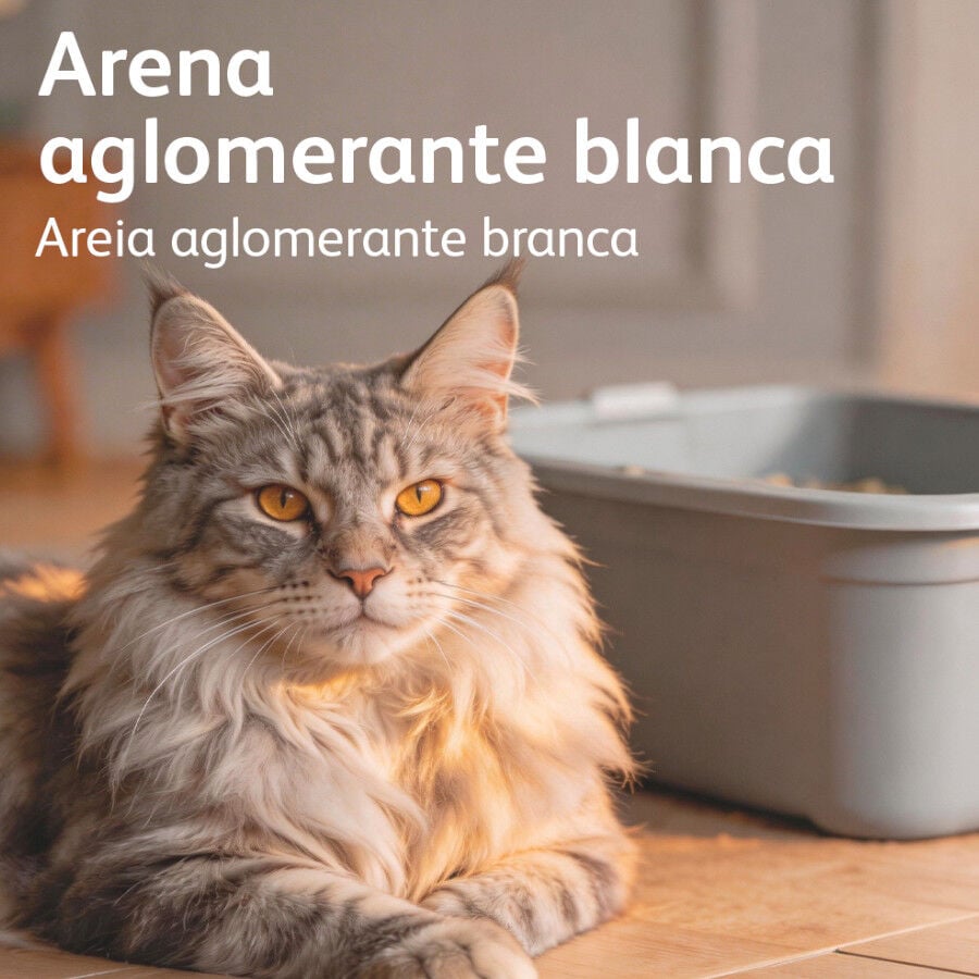 16 L Nova Clean Marsella Arena Aglomerante para gatos, , large indicador imagen numero 6