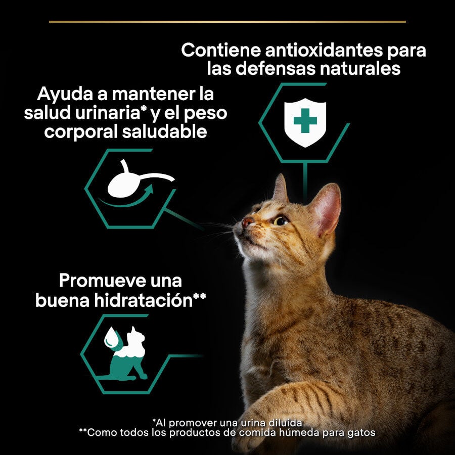 10 sobres x 85 g Pro Plan Adult Sterilised Maintenance Pollo y Buey en Salsa sobre para gatos, , large Imagen numero 3