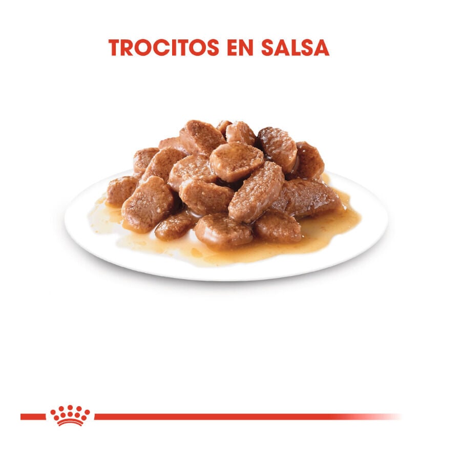 85 g Royal Canin Feline Sterilised Salsa sobres para gato, , large Imagen numero 4