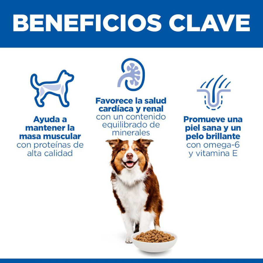 14 kg Hill's Science Plan Mature Adult Medium Pollo pienso para perros, , large indicador imagen numero 5