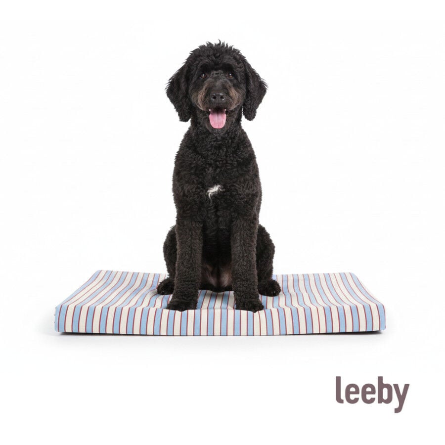 Leeby Colch&oacute;n Rayas Anchas para perros, , large indicador imagen numero 7