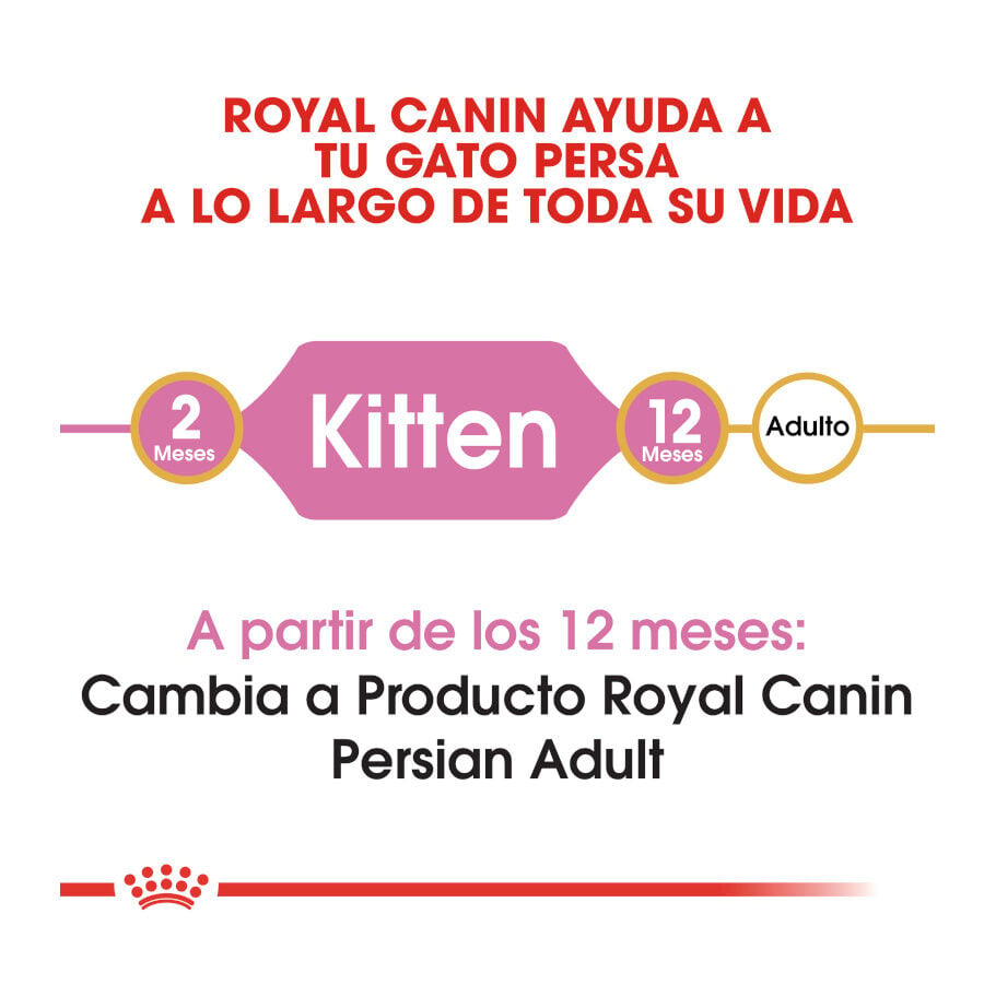 10 kg Royal Canin Kitten Persia pienso para gatos, , large Imagen numero 6