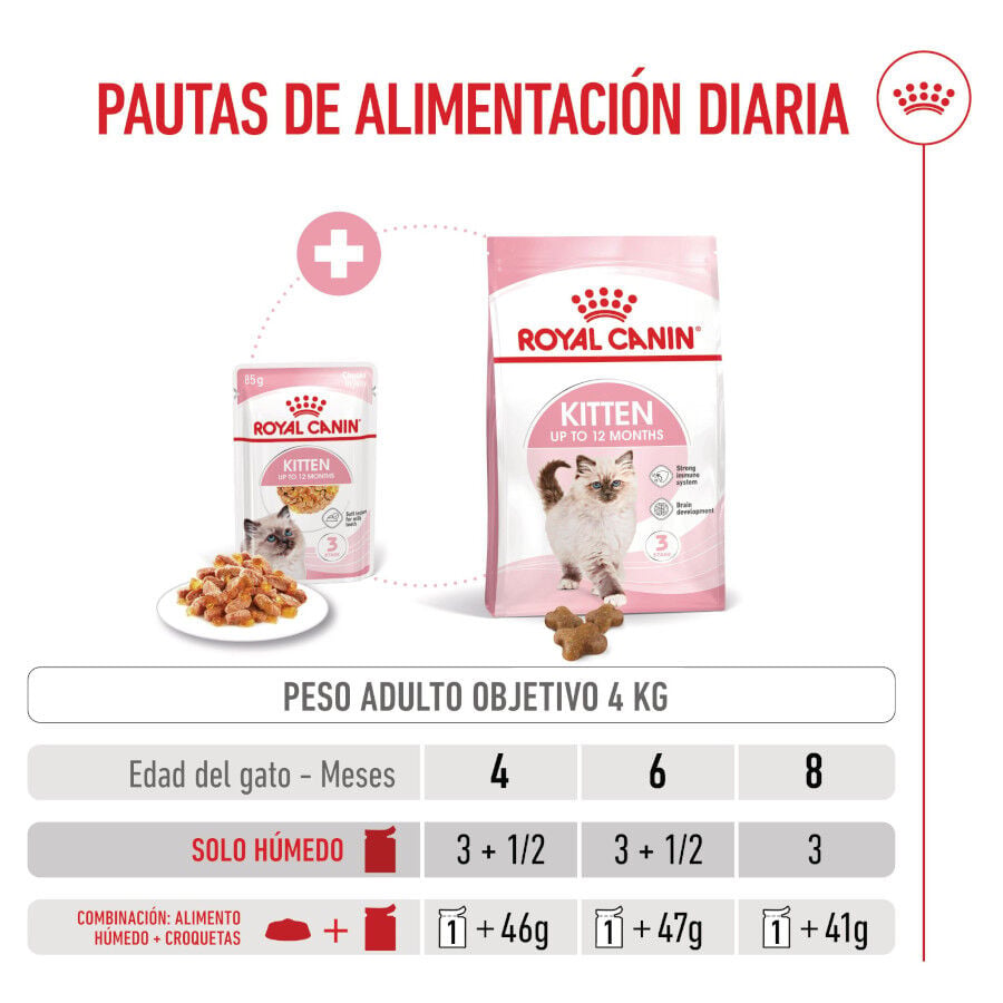 85 g Royal Canin Kitten comida h&uacute;meda en gelatina sobre para gatos&nbsp;, , large Imagen numero 7