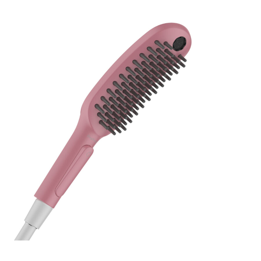 Hansgrohe Alcachofa de Ducha Rosa para perros, , large indicador imagen numero 1