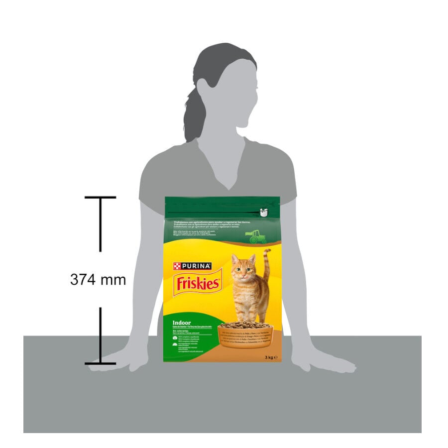 3 kg Friskies Indoor pienso para gatos, , large indicador imagen numero 5