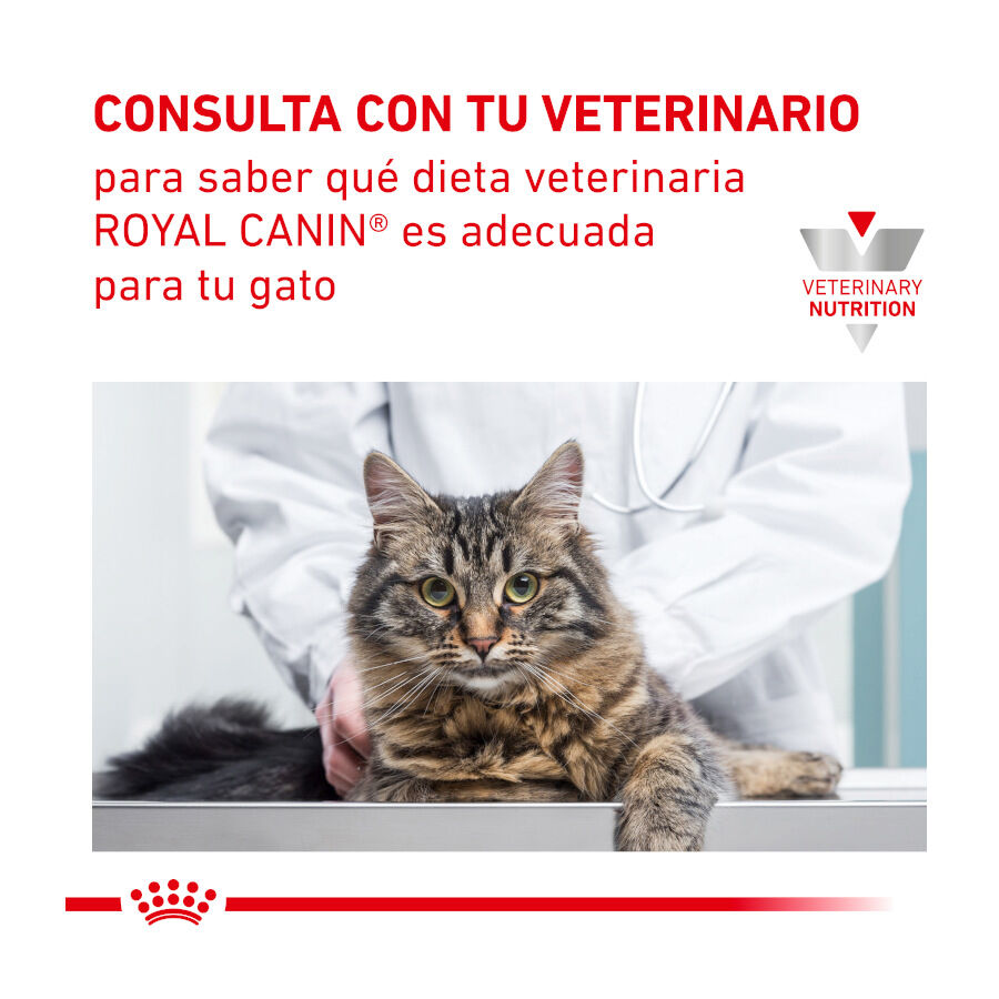 12 sobres x 85 g Royal Canin Adult Veterinary Urinary mousse sobre para gatos, , large indicador imagen numero 7