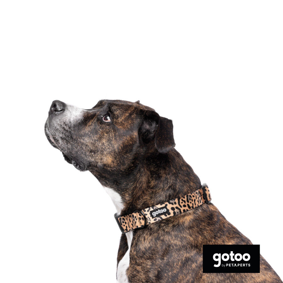 Gotoo Collar estampado leopardo para perros, , large indicador imagen numero 7