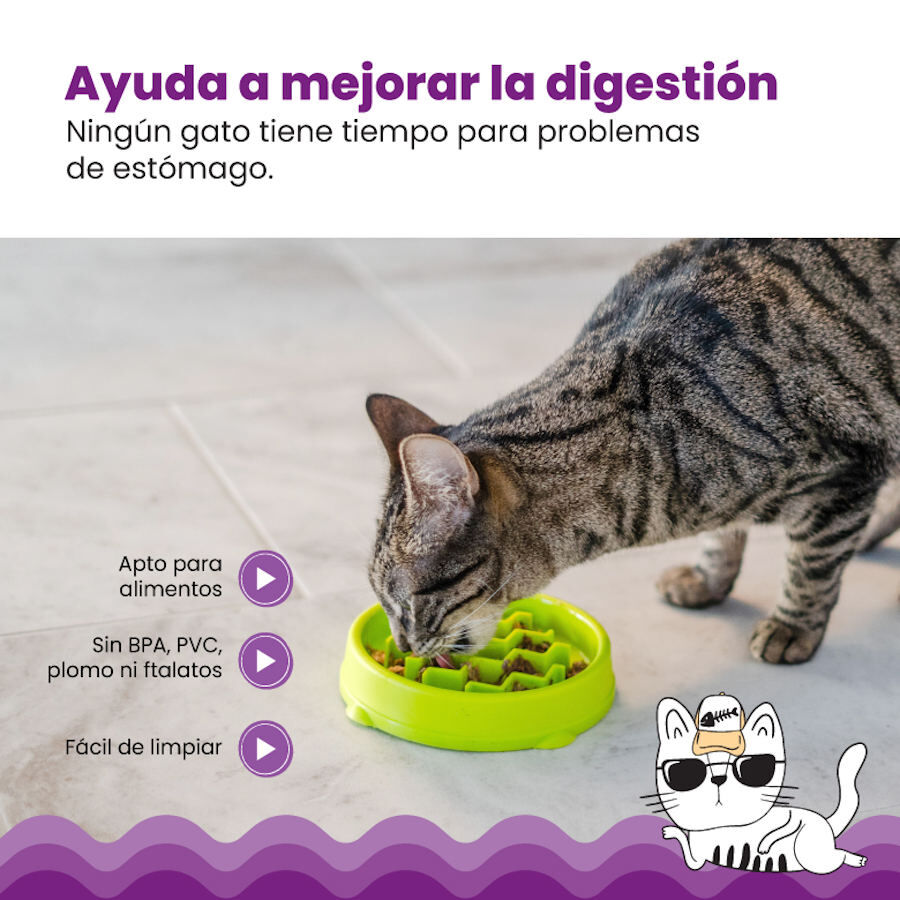Catstages Cat Fun Comedero Lento Verde para gatos, , large Imagen numero 4