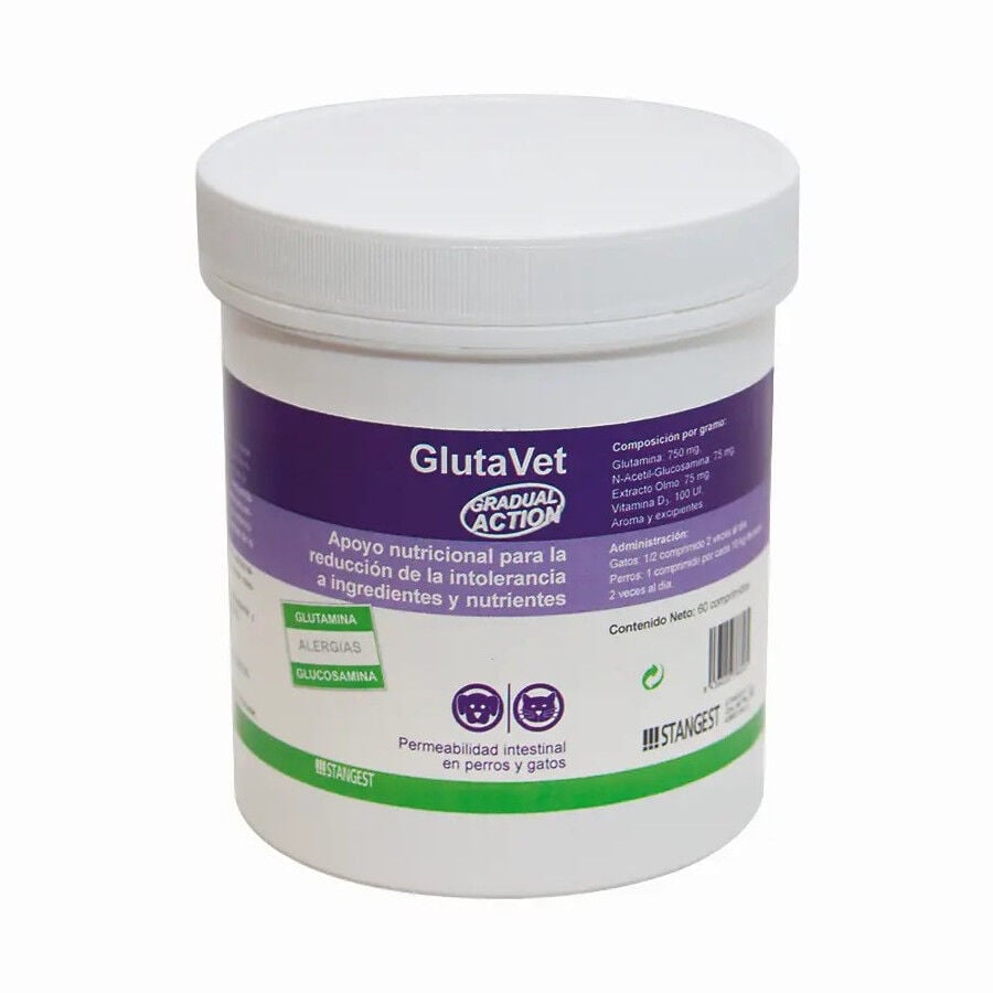 Stangest Glutavet salud digestiva para perros y gatos