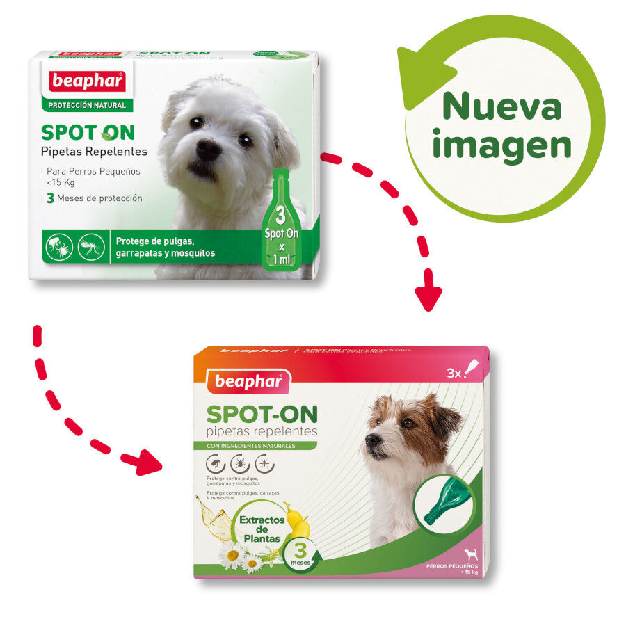 Beaphar Pipetas Repelentes para perros, , large Imagen numero 2