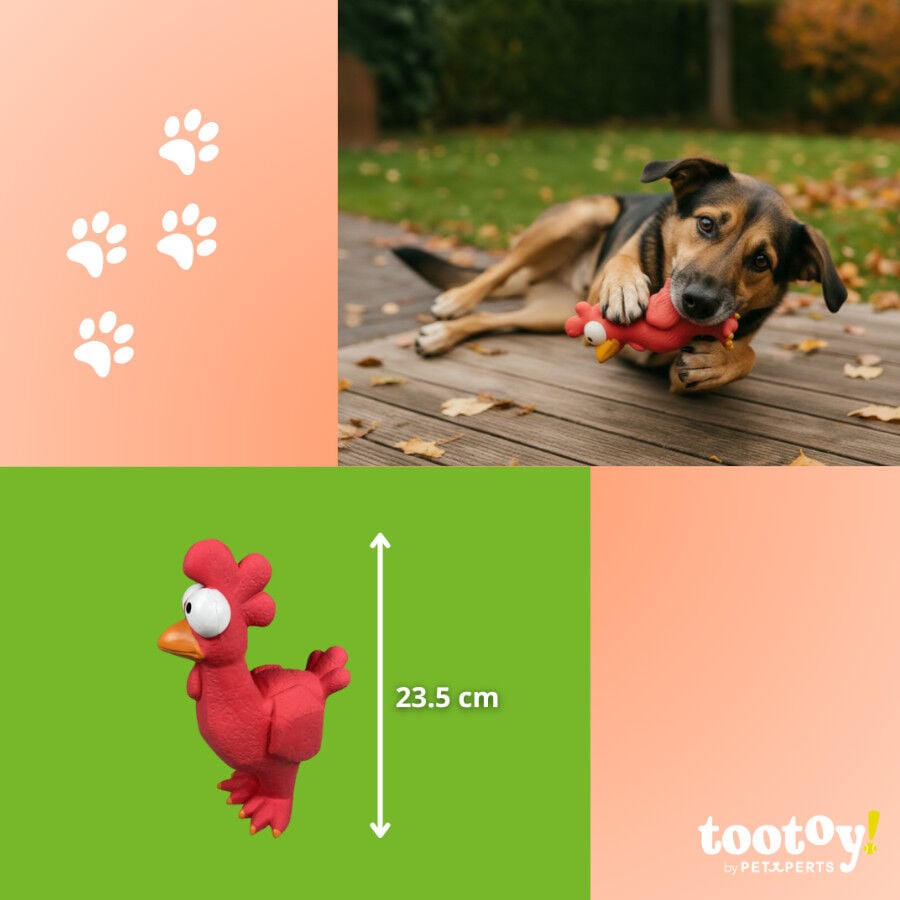 Tootoy! Mordedor con Sonido Gallina para perros, , large indicador imagen numero 4