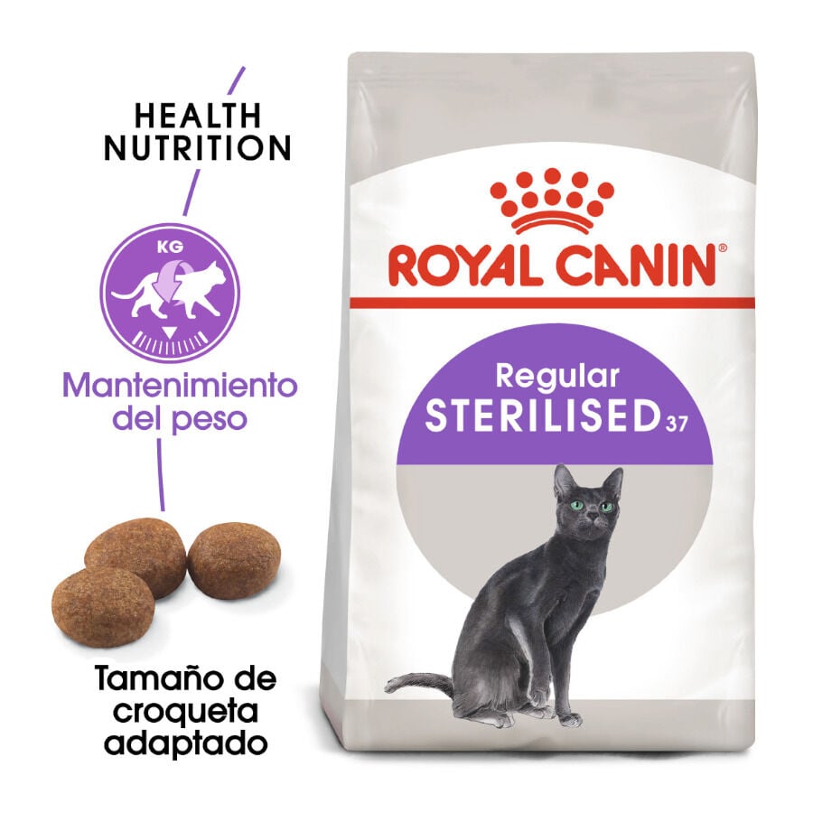 10 kg Royal Canin Regular Sterilised 37 pienso para gatos, , large Imagen numero 2