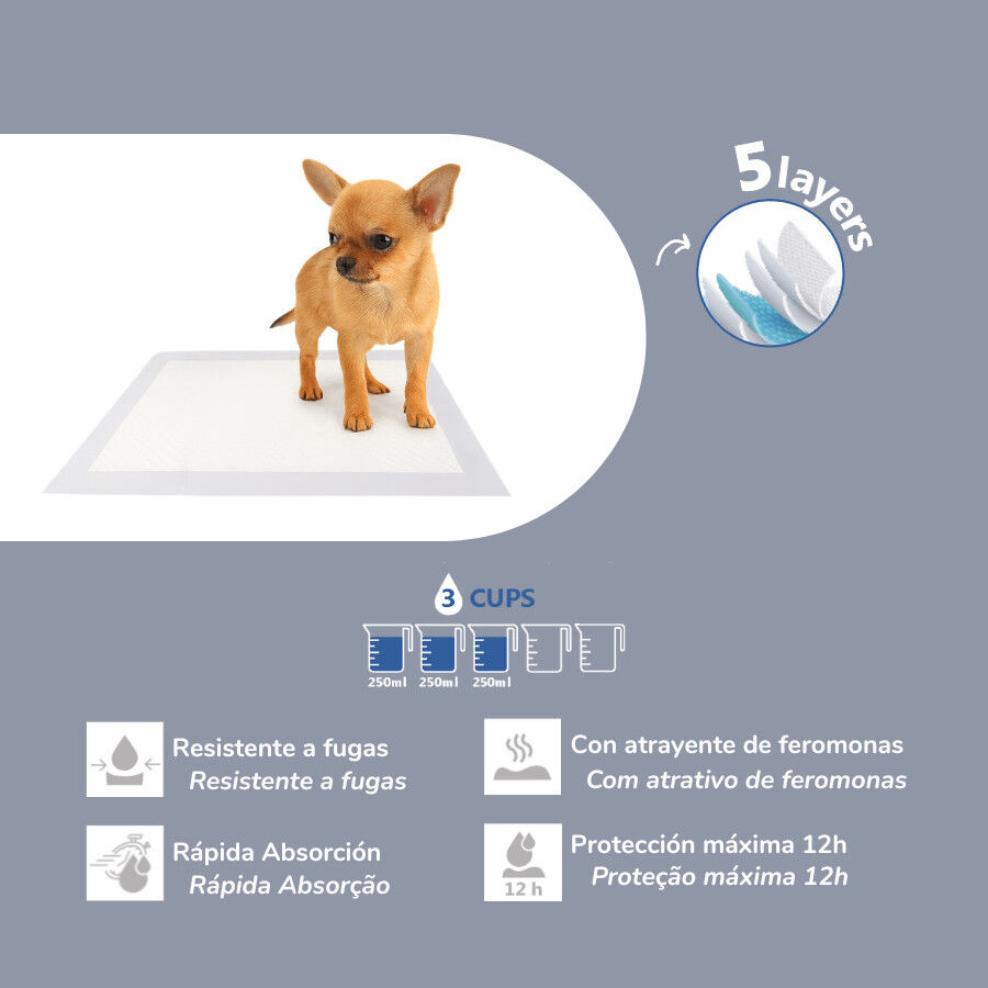 Nice Care Empapadores para perros, , large Imagen numero 2