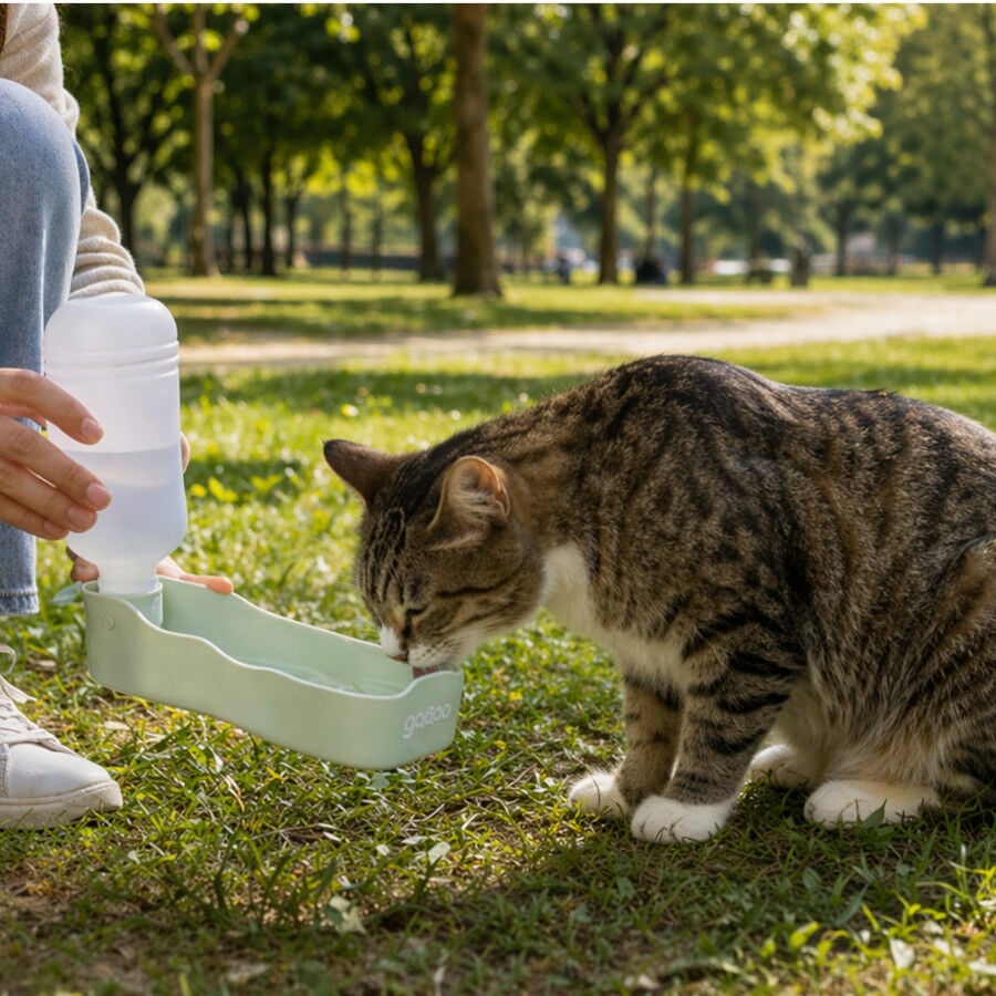 Gotoo Botella Bebedero Port&aacute;til de Pl&aacute;stico Verde para perros y gatos, , large indicador imagen numero 1