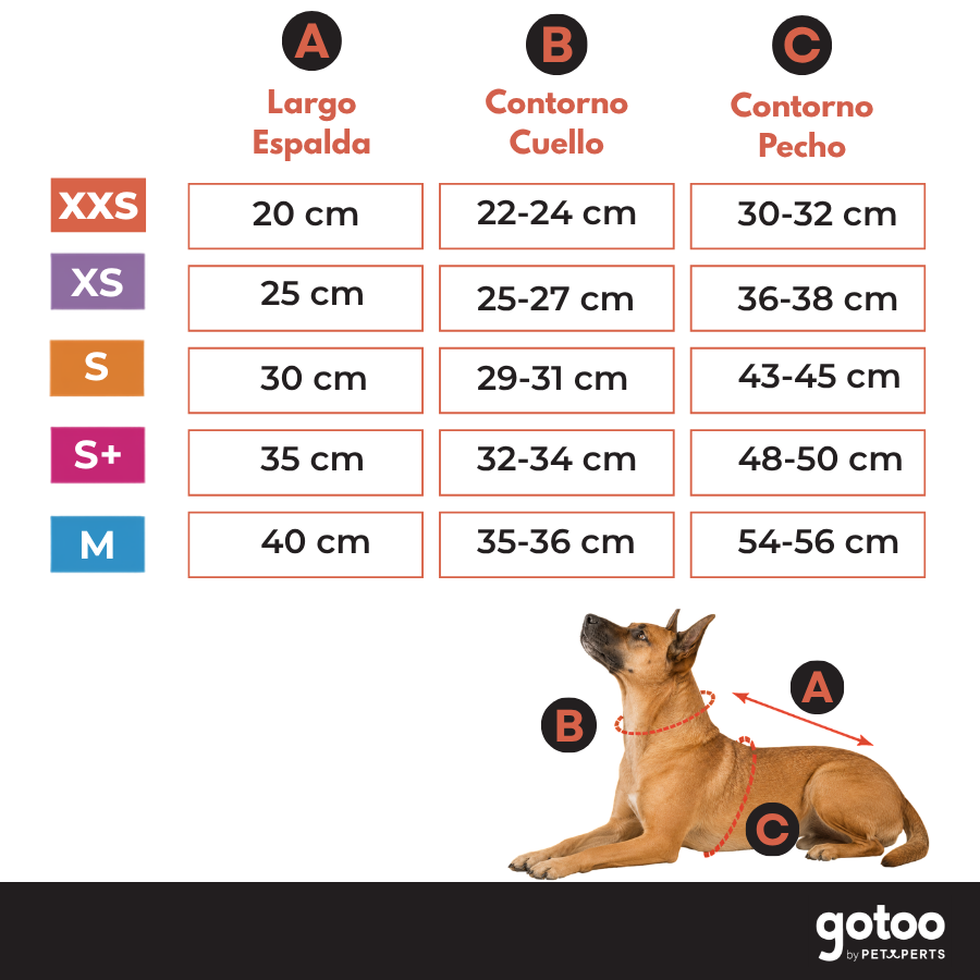 Gotoo Jersey Sherpa Estampado Retro para perros, , large Imagen numero 5