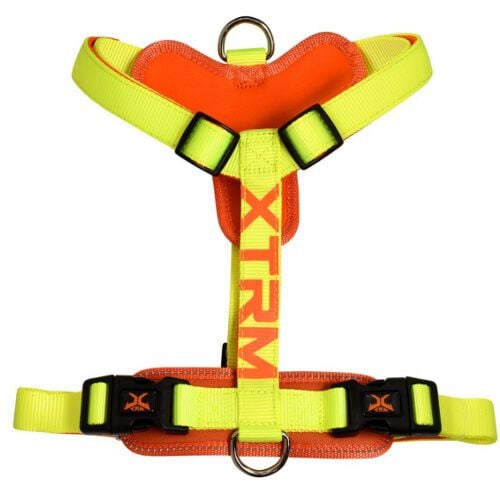 X-TRM Cronos Neon Flash Arn&eacute;s Lim&oacute;n para perros