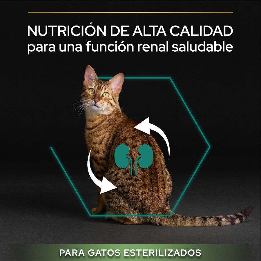 12 kg (10 + 2 kg &iexcl;gratis!) Pro Plan Adult Sterilized Pavo Pienso para gatos, , large Imagen numero 5