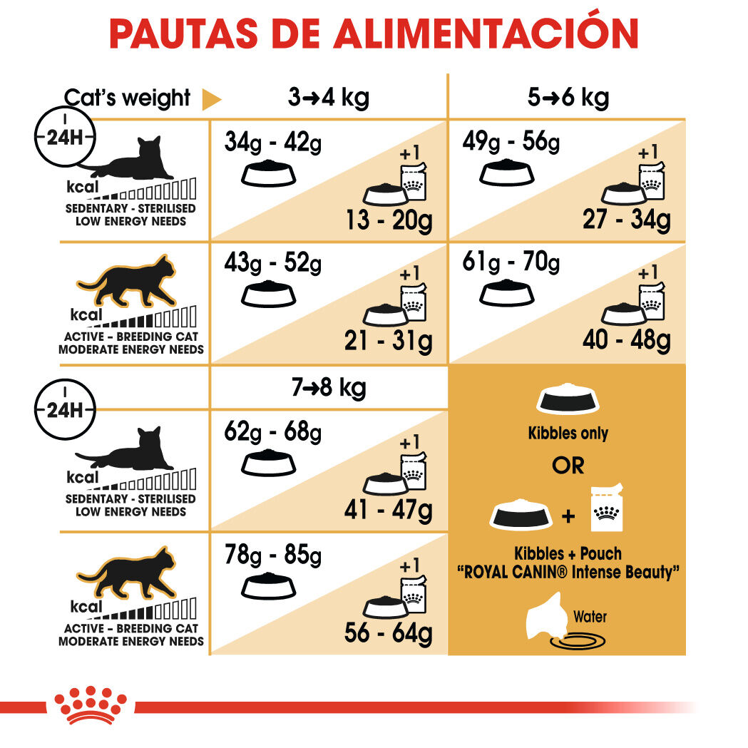 2 kg Royal Canin Adult Ragdoll pienso para gatos, , large indicador imagen numero 7