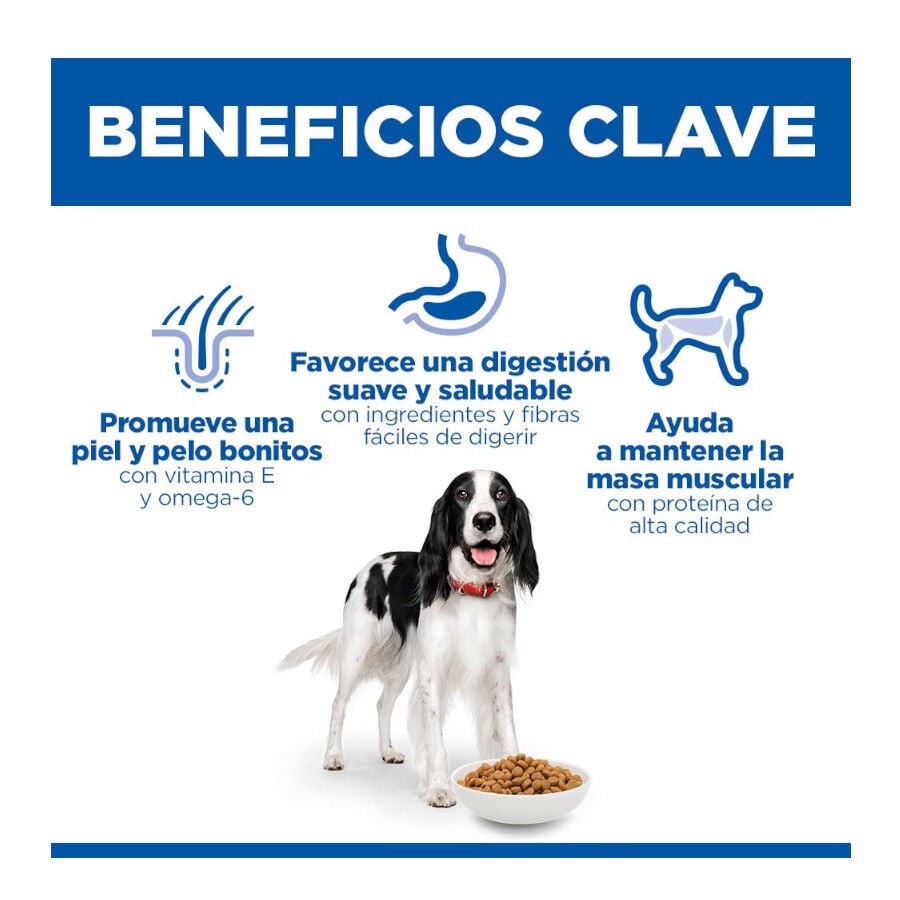 14 kg Hill's Science Plan Adult Medium Pollo pienso para perros, , large indicador imagen numero 5