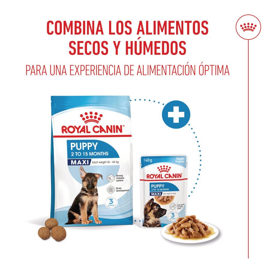 140 g Royal Canin H&uacute;medo Maxi Puppy, , large indicador imagen numero 5