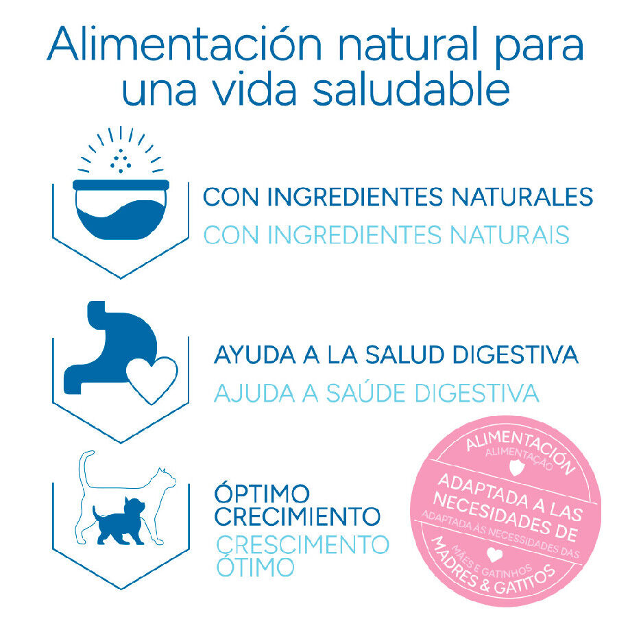 2 kg Criadores Cient&iacute;fico Mother & Baby Cat pollo pienso para gatos, , large indicador imagen numero 6